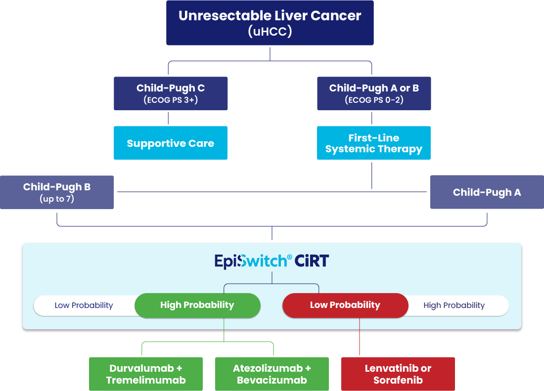 Graph illustrating how CiRT supports first line treatment decision making in unresectable liver cancer patients.