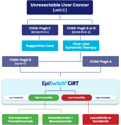 Graph illustrating how CiRT supports first line treatment decision making in unresectable liver cancer patients.